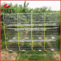 24 Doors Stainless Steel Rabbit Cage